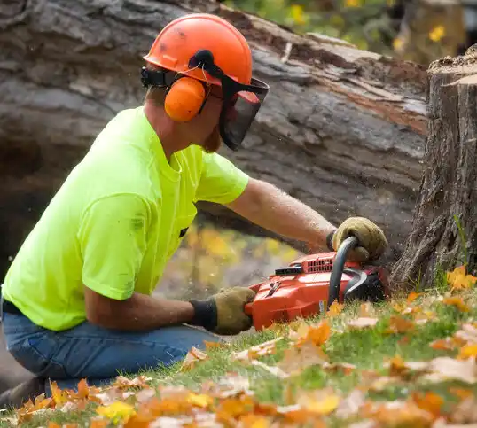 tree services Carp Lake